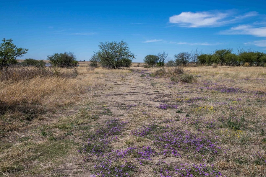 Commercial Property for Sale in Koppies Free State